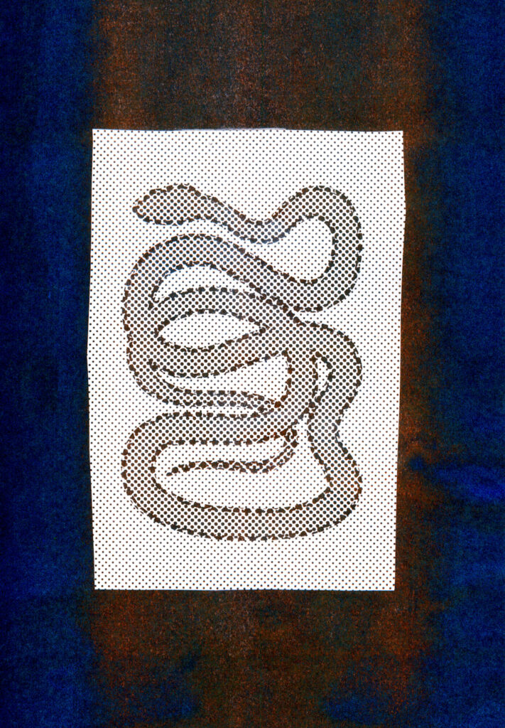 Textured image of a snake wrapping around itself multiple times in a rectangle, against a darker textured background. 