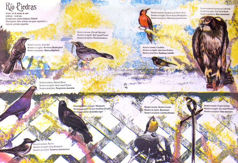 Textured illustration of various birds on a fence or branch with descriptions next to them. 