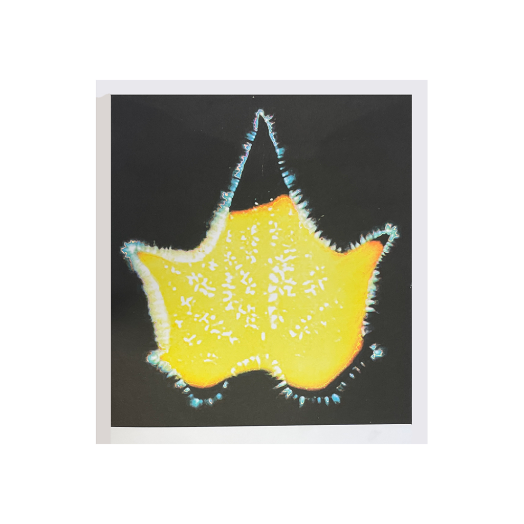 Print of a yellow leaf against a black background. 